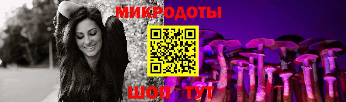Десногорск  Галлюциногенные грибы мухоморы  Вход с VPN 